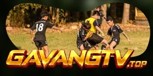 Dự Đoán Trận Aalesund FK Vs Viking 00h15 27/07