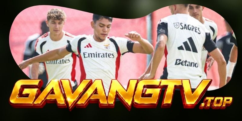Tổng hợp dự đoán kèo Benfica vs St. Gallen ngày 31/07 theo nhịp bùng nổ