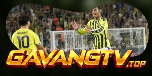 Dự Đoán Trận Fenerbahce Vs Lyon 02h00 19/08