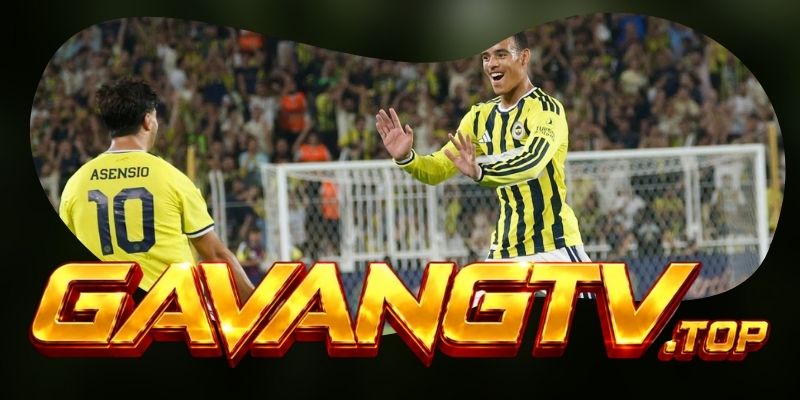 Dự Đoán Trận Fenerbahce Vs Lyon 02h00 19/08