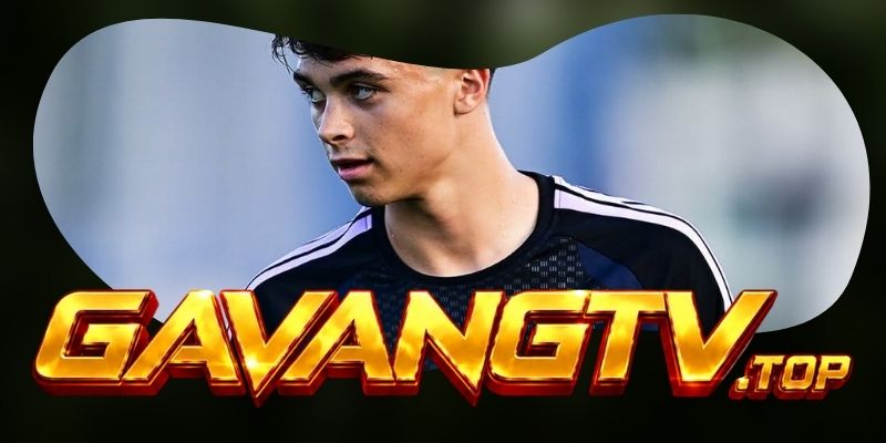 Phân tích phong độ Newcastle United vs Liverpool qua nhịp hồi phục và khoảng trống hai biên
